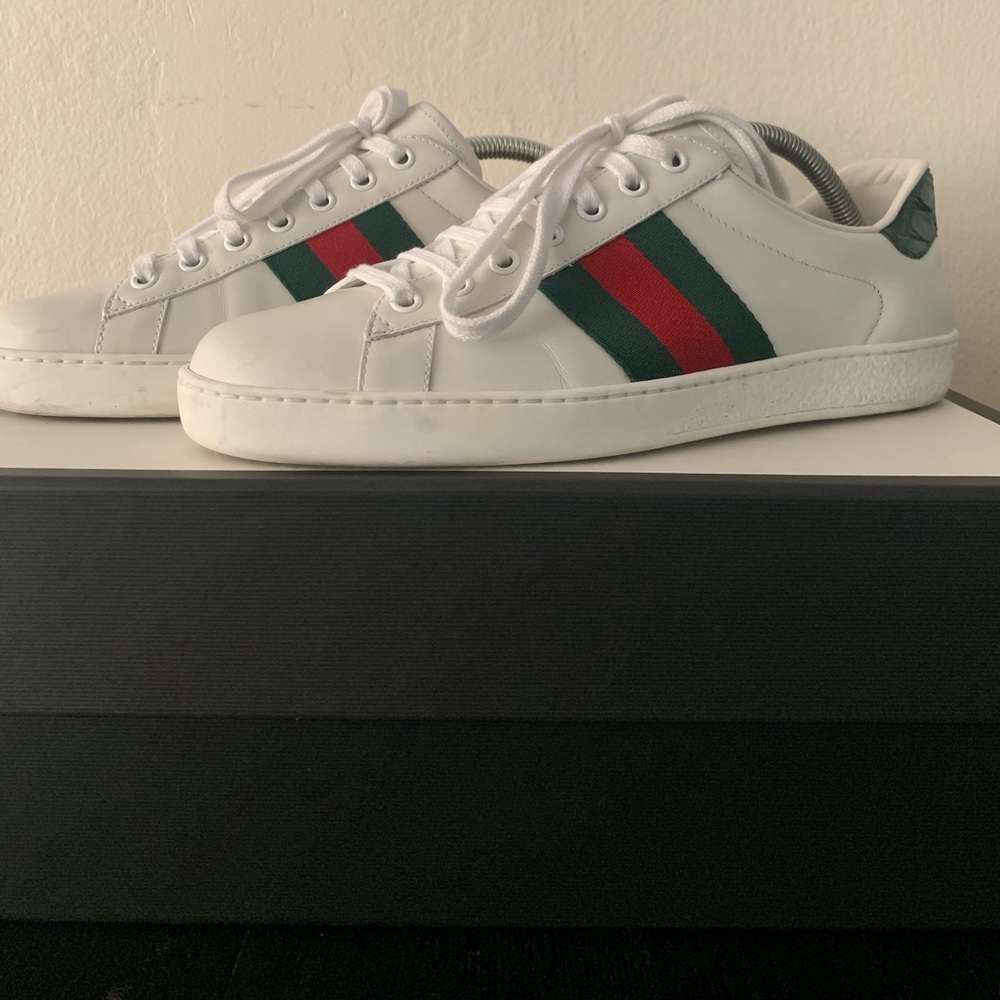Gucci ace